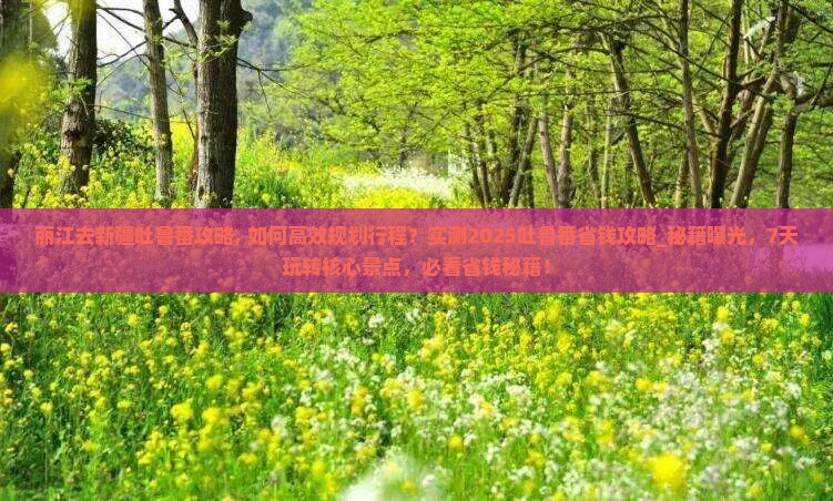 丽江去新疆吐鲁番攻略