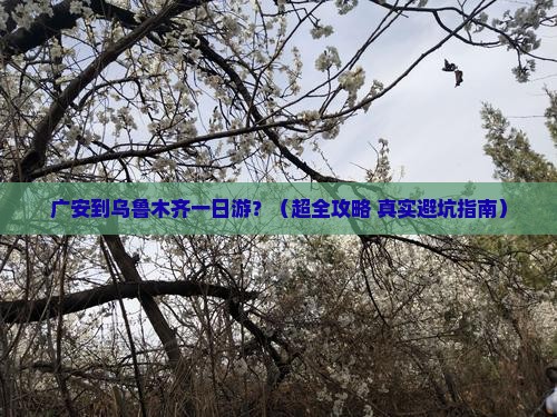 广安去新疆乌鲁木齐一日