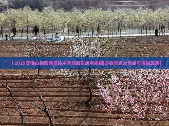 佛山去新疆乌鲁木齐必去地