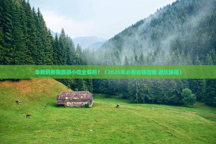 阜新到新疆旅游小吃