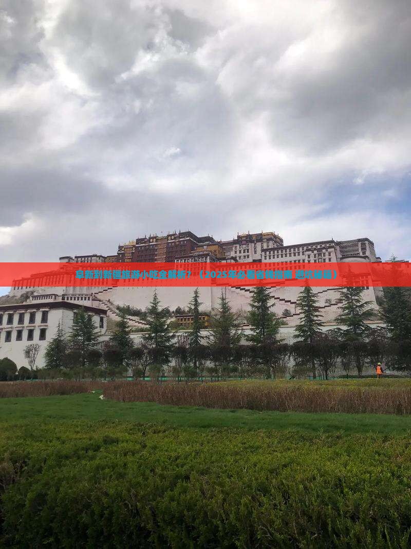阜新到新疆旅游小吃