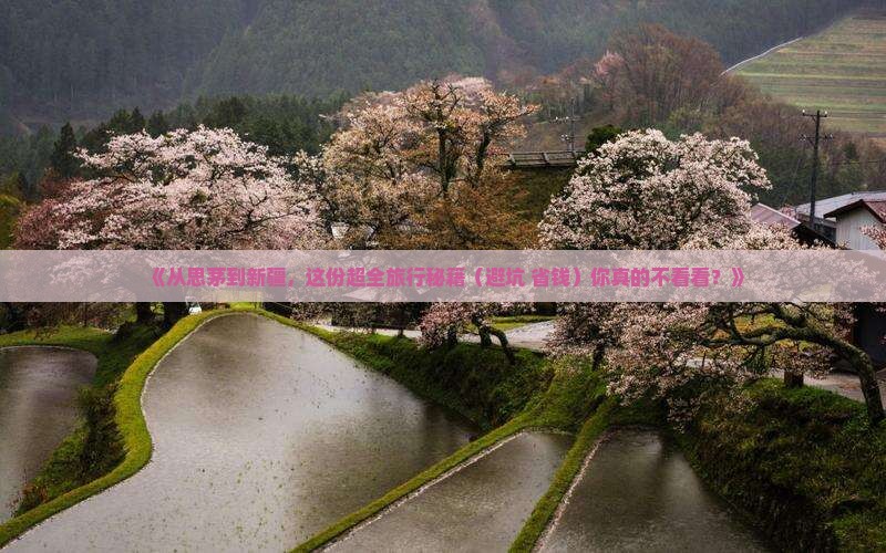 思茅去新疆攻略