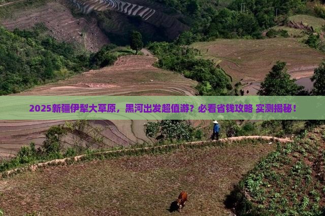 黑河去新疆伊犁大草原大型旅游团