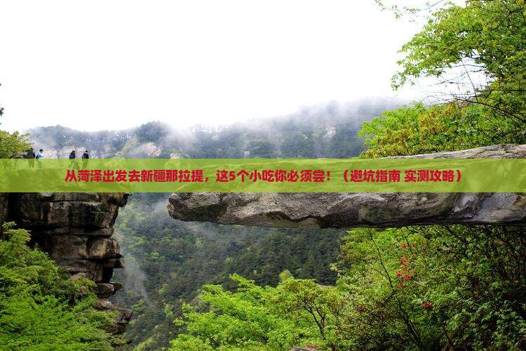 菏泽去新疆那拉提旅游小吃