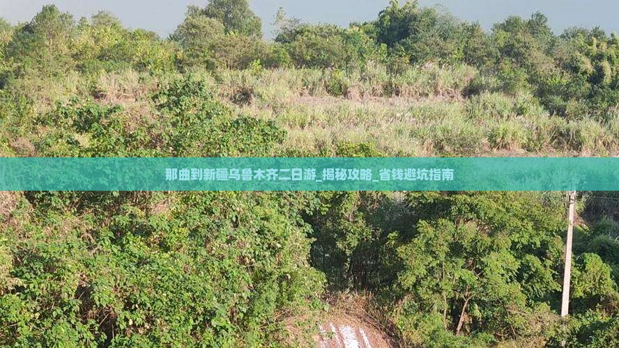 那曲到新疆乌鲁木齐二日游