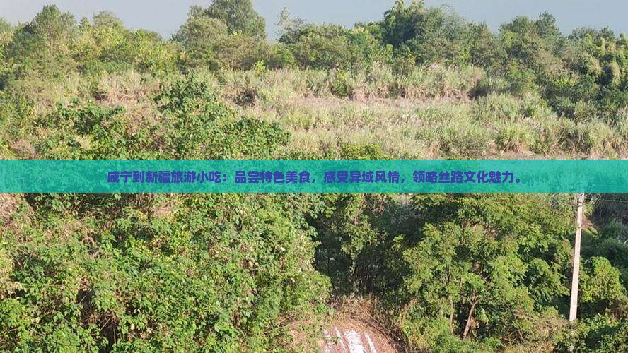 咸宁到新疆旅游小吃