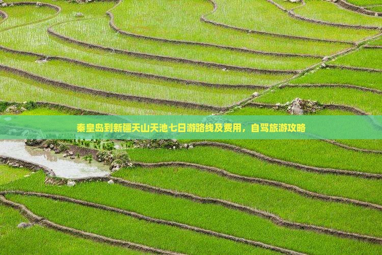 秦皇岛到新疆天山天池七日游