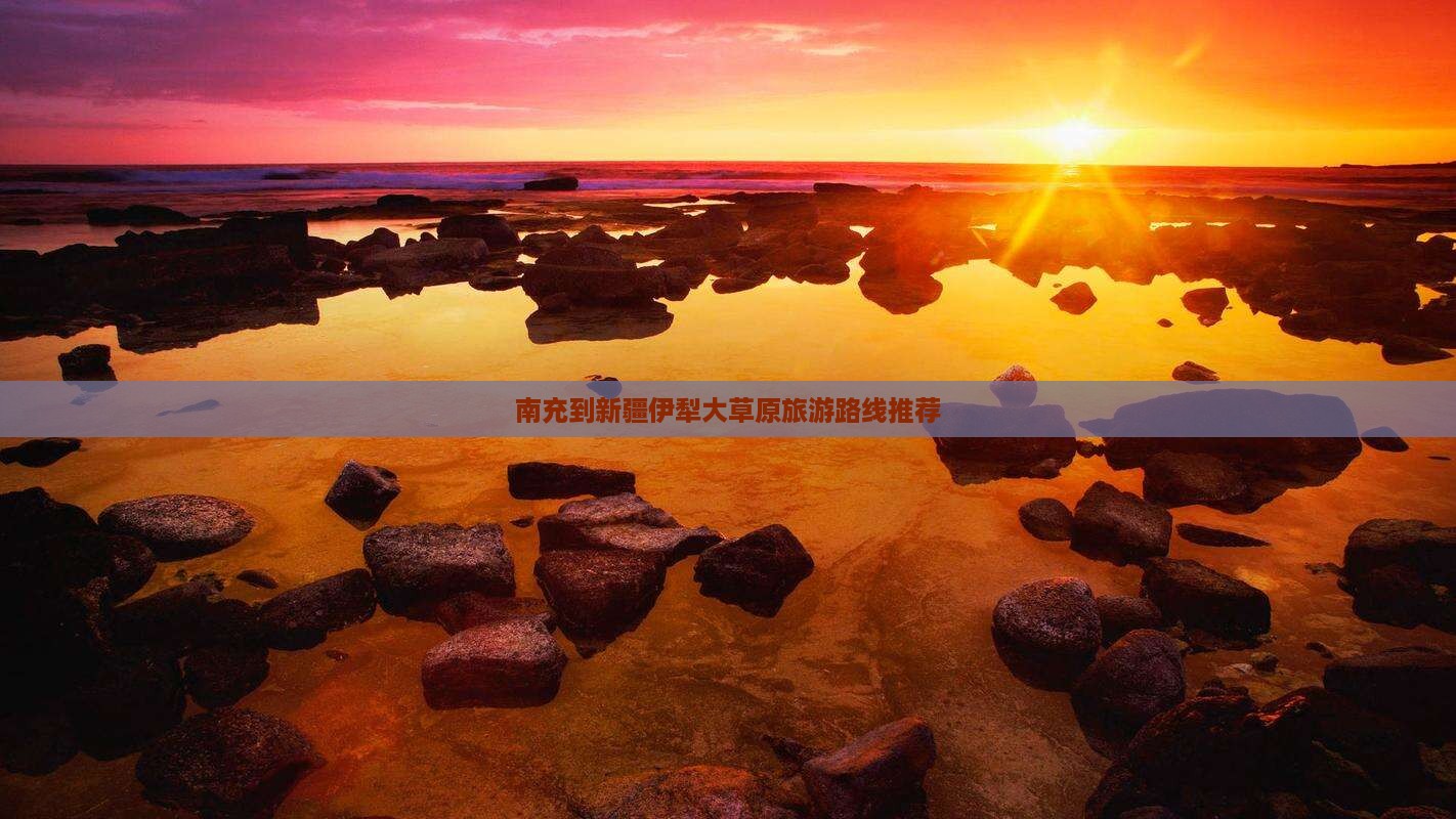 南充到新疆伊犁大草原自由团