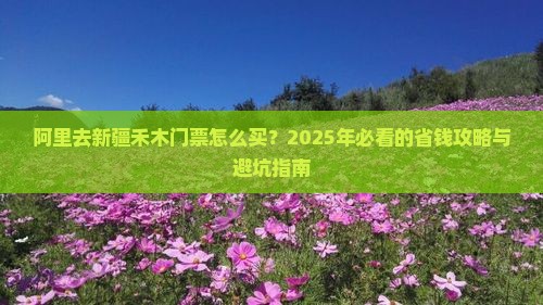 阿里去新疆禾木门票