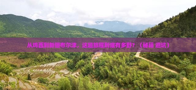 鸡西去新疆布尔津景点 鸡西去新疆布尔津景点