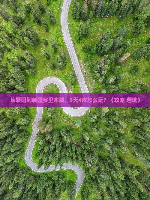 襄樊到新疆赛里木湖旅行社
