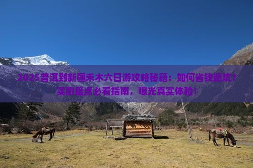 普洱到新疆禾木六日游