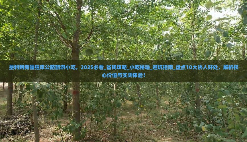 垦利到新疆独库公路旅游小吃