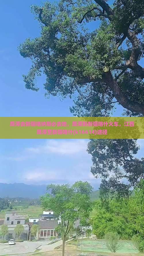 鹰潭去新疆喀纳斯必去地