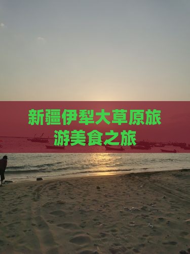 恩施去新疆伊犁大草原旅游小吃