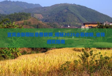 宜宾去新疆吐鲁番旅游