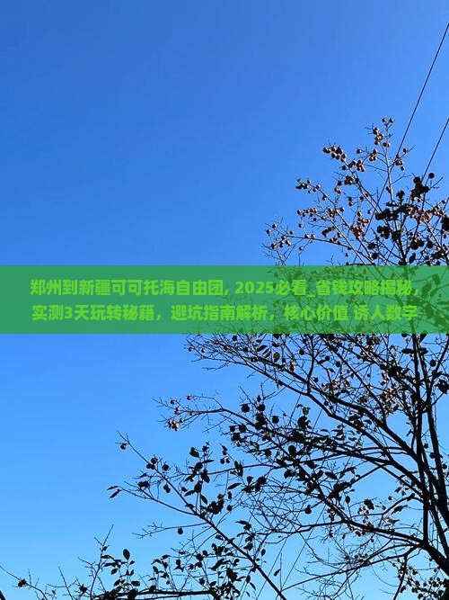 郑州到新疆可可托海自由团