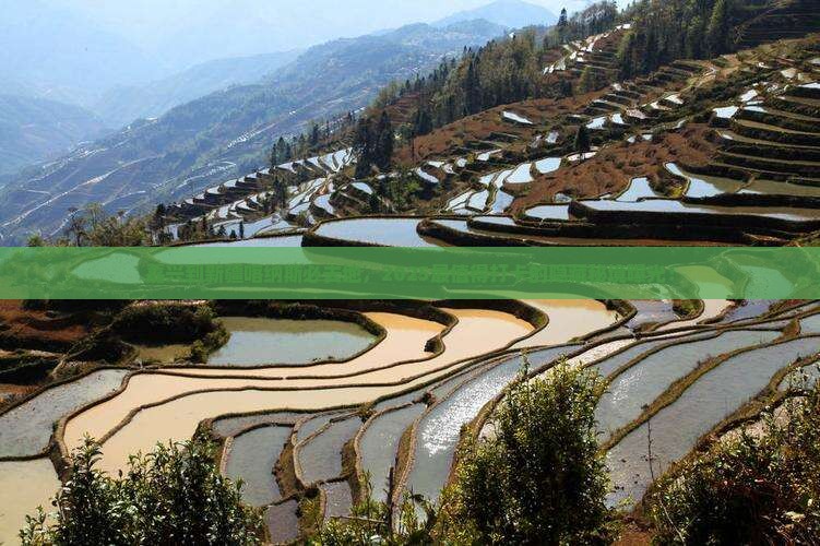 嘉兴到新疆喀纳斯必去地