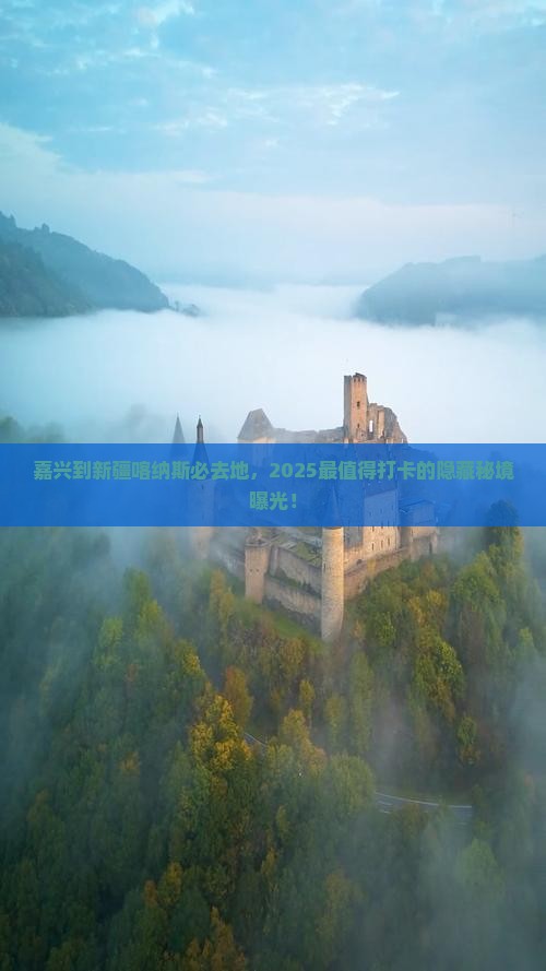 嘉兴到新疆喀纳斯必去地