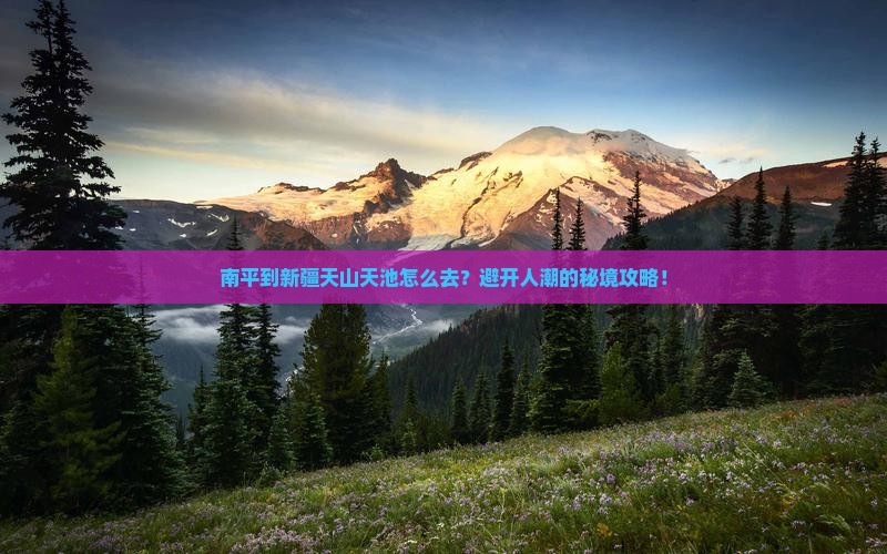 南平到新疆天山天池攻略