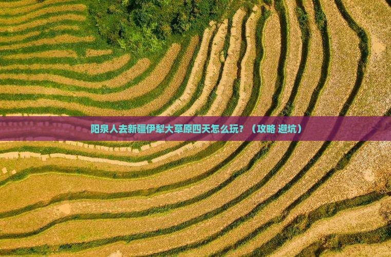 阳泉去新疆伊犁大草原四日游
