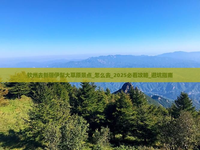 钦州去新疆伊犁大草原景点