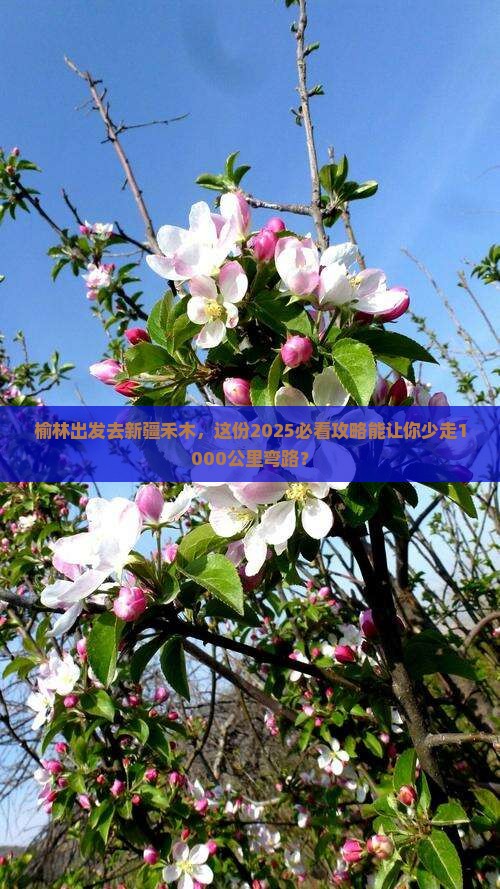 榆林去新疆禾木团体旅游