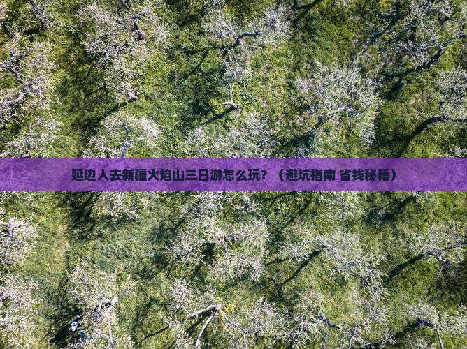 延边去新疆火焰山三日游