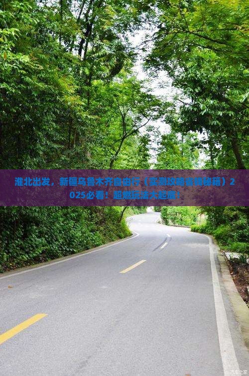 淮北到新疆乌鲁木齐自由团