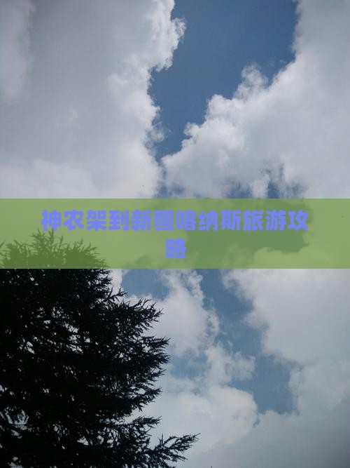 神农架到新疆喀纳斯必去地