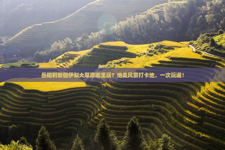 岳阳到新疆伊犁大草原哪里玩