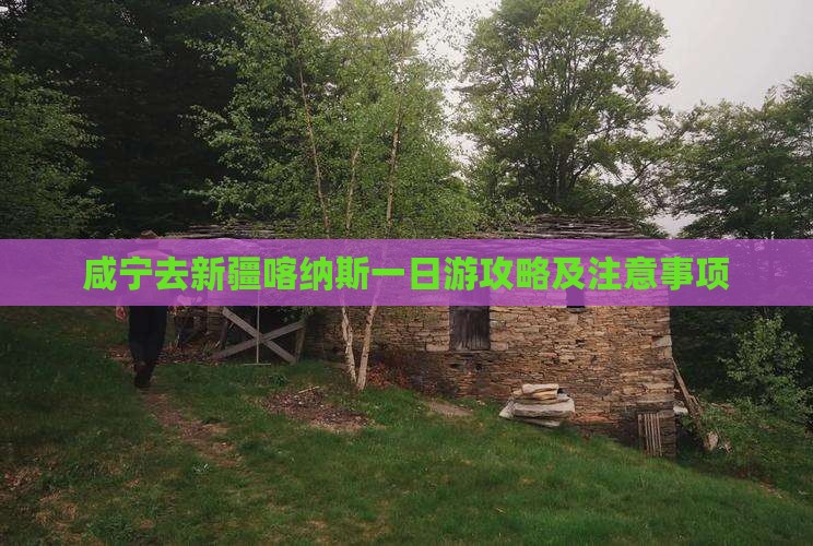 咸宁去新疆喀纳斯一日