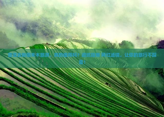 普洱去新疆禾木旅游