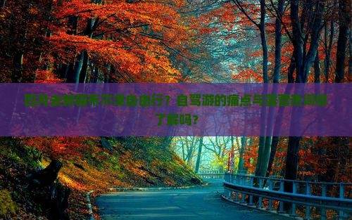 四月去新疆布尔津自由行？自驾游的痛点与露营热词你了解吗？