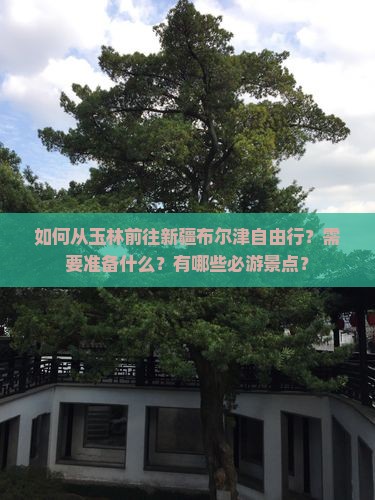 如何从玉林前往新疆布尔津自由行？需要准备什么？有哪些必游景点？
