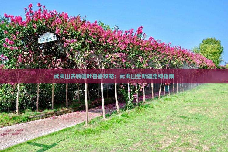 武夷山去新疆吐鲁番攻略：武夷山至新疆路线指南