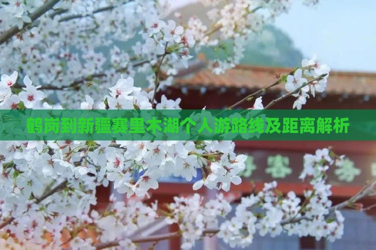鹤岗到新疆赛里木湖个人游路线及距离解析