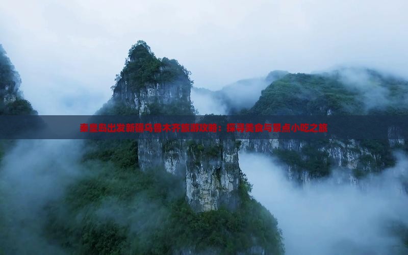 秦皇岛出发新疆乌鲁木齐旅游攻略：探寻美食与景点小吃之旅