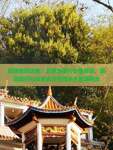 新疆旅游攻略：北疆自由行必看景点，跟随旅行社探索夏天新疆禾木国际风光
