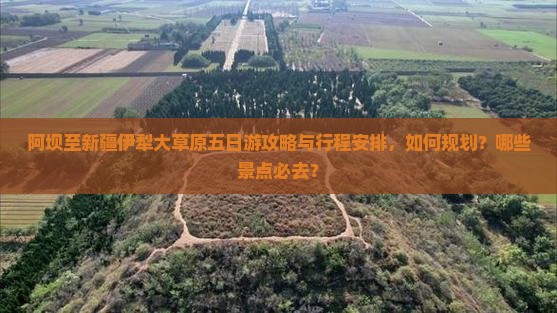 阿坝至新疆伊犁大草原五日游攻略与行程安排，如何规划？哪些景点必去？
