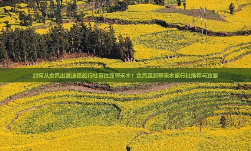 如何从金昌出发选择旅行社前往新疆禾木？金昌至新疆禾木旅行社推荐与攻略