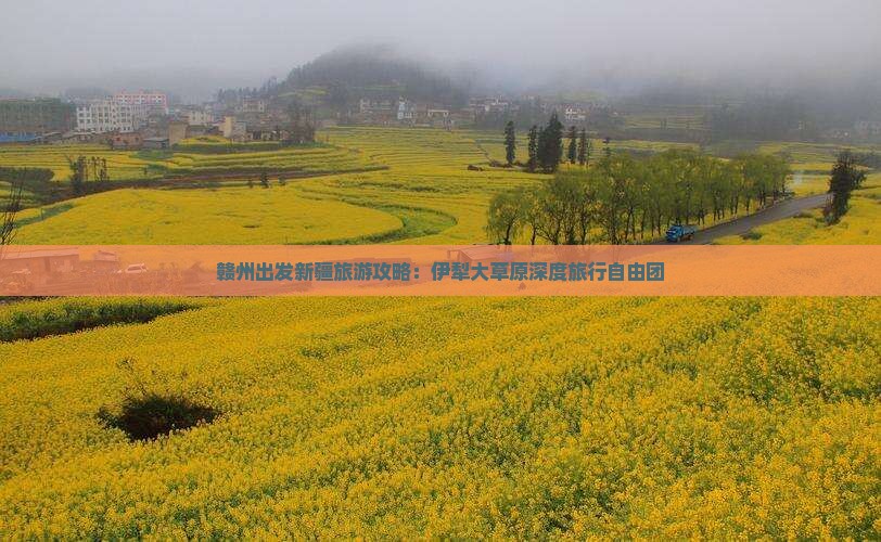 赣州出发新疆旅游攻略：伊犁大草原深度旅行自由团