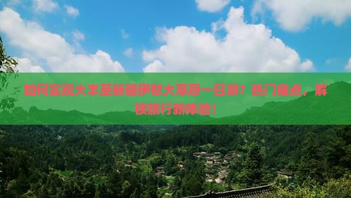 如何实现大丰至新疆伊犁大草原一日游？热门痛点，解锁旅行新体验！