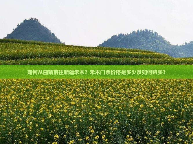 如何从曲靖前往新疆禾木？禾木门票价格是多少及如何购买？
