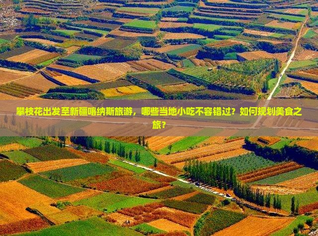 攀枝花出发至新疆喀纳斯旅游，哪些当地小吃不容错过？如何规划美食之旅？