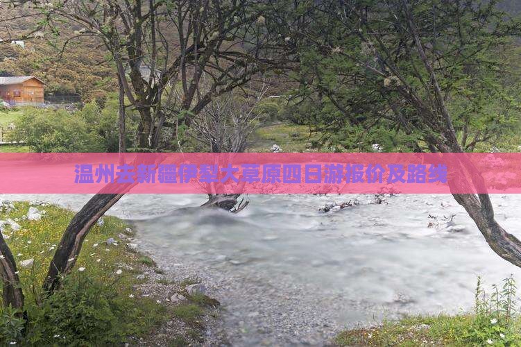 温州去新疆伊犁大草原四日游报价及路线