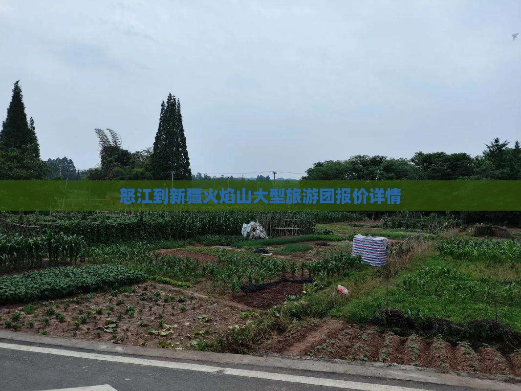 怒江到新疆火焰山大型旅游团报价详情