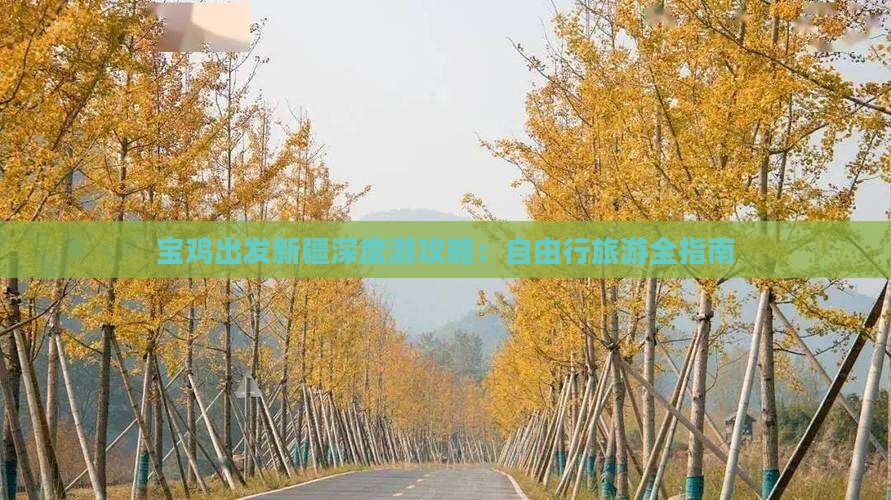 宝鸡出发新疆深度游攻略：自由行旅游全指南