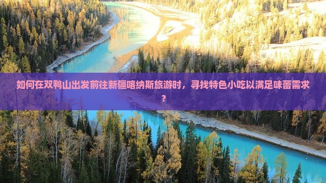 如何在双鸭山出发前往新疆喀纳斯旅游时，寻找特色小吃以满足味蕾需求？