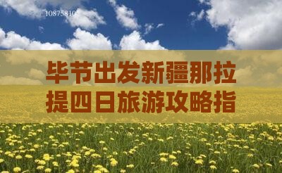 毕节出发新疆那拉提四日旅游攻略指南